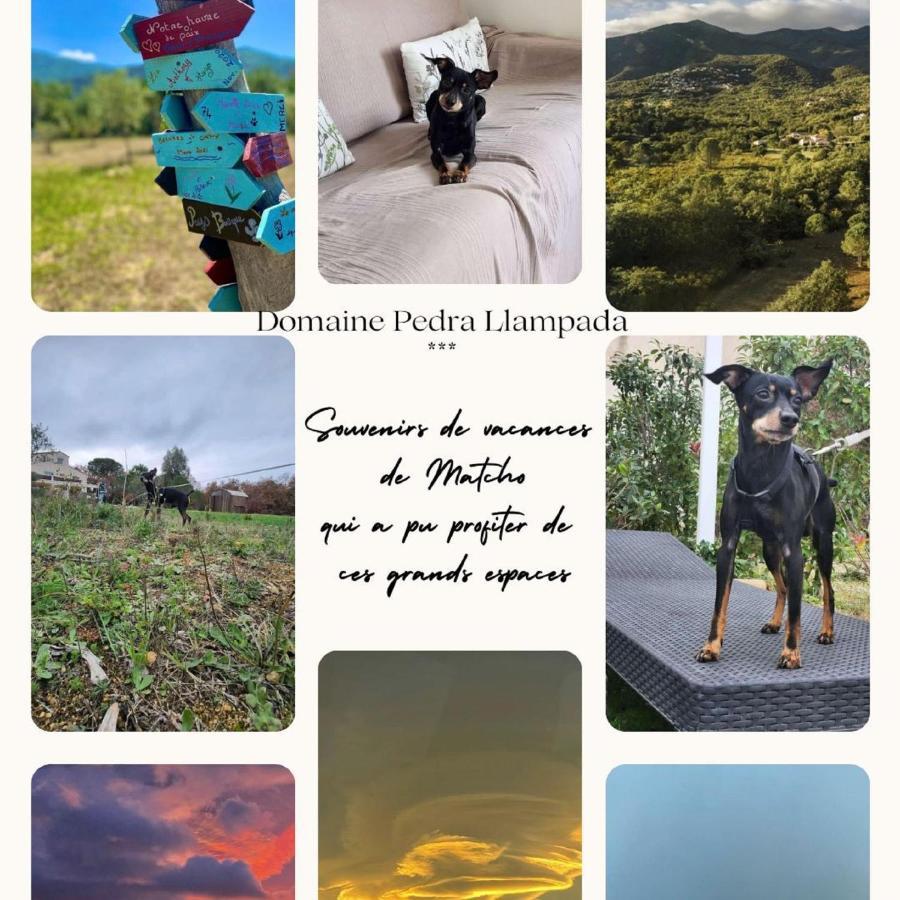 Domaine Pedra Llampada Gite Mer Villelongue-dels-Monts Exterior photo